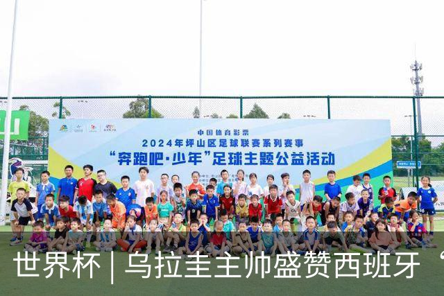 世界杯 | 乌拉圭主帅盛赞西班牙“精致足球”