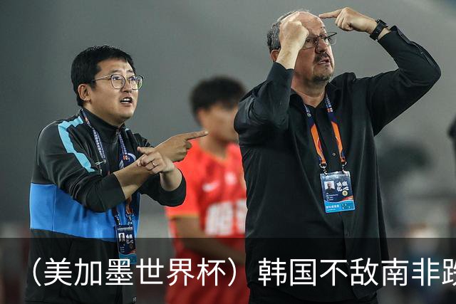 （美加墨世界杯）韩国不敌南非跌至小组第三 出线前景待定